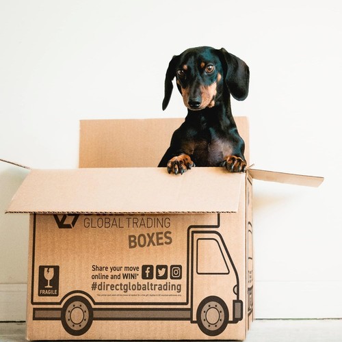 Strong large cardboard - strong,